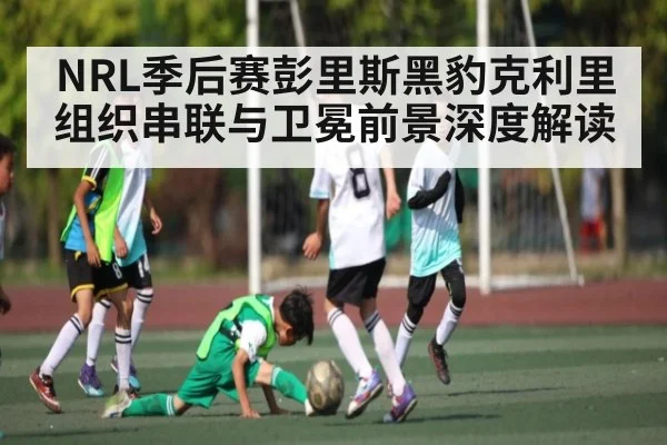 NRL季后赛彭里斯黑豹克利里组织串联与卫冕前景深度解读