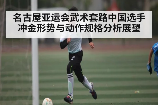 名古屋亚运会武术套路中国选手冲金形势与动作规格分析展望